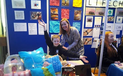 Hugga Cushions make it to the Student Enterprise Awards in Croke Park